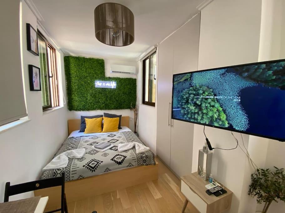 Downtown 22Sqm Green Nest King-Size Bed アテネ エクステリア 写真